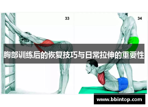 胸部训练后的恢复技巧与日常拉伸的重要性